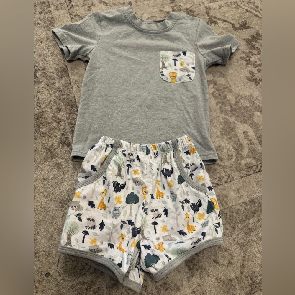 Gray Zoo Animal Boutique Outfit